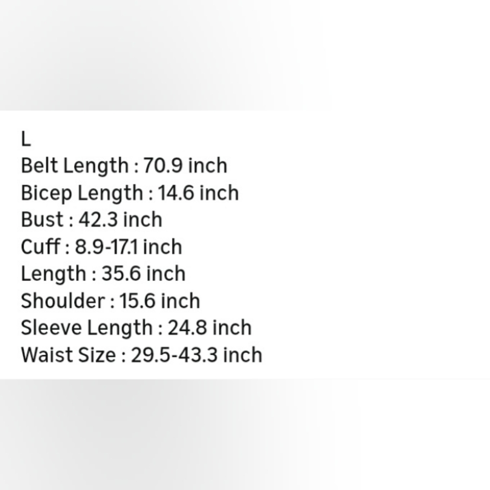 Chic HIGH COLLAR LONG SLEEVE A LINE RUFFLE HEMLINE DRESS SIZE L NWOT - Picture 9 of 11